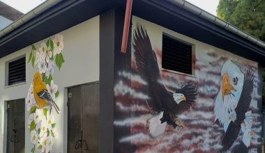 Toroslar Belediyesi Hayvan Sevgisini Duvarlara Taşıdı