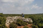 Tarsus’ta yeni yerleşimler tespit edildi