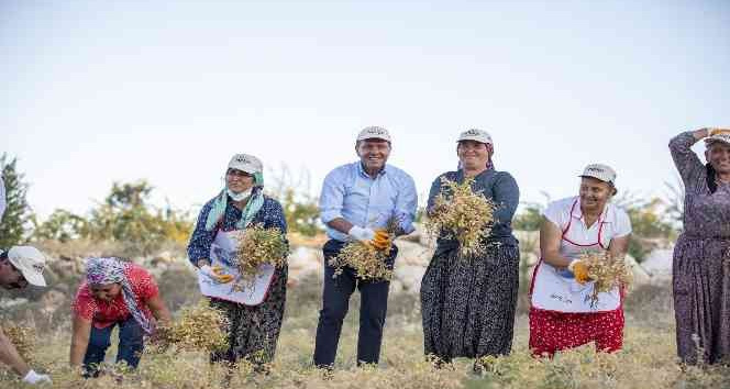 Başkan Seçer:“Tarıma önemli desteklerimiz oluyor”
