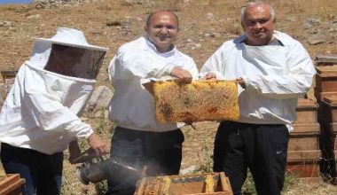 Başkan Tollu:”Bu sene müthiş bir bereket var”