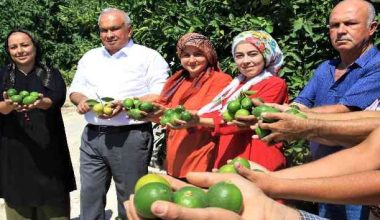 Başkan Tollu, “Erdemli limonun başkenti”