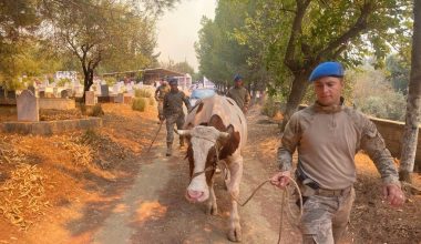 JANDARMADAN YANGIN SÖNDÜRME ÇALIŞMALARINA DESTEK