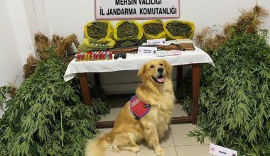 JANDARMA; UYUŞTURUCU İMALATÇILARINA NEFES ALDIRMIYOR