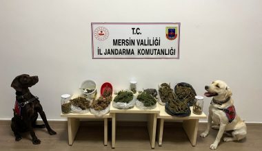 UYUŞTURUCU SATICILARI JANDARMADAN KAÇAMADI