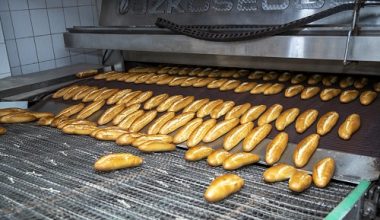 HALK EKMEK FABRİKASI ÜRETİME BAŞLADI