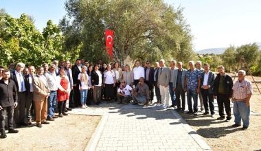 Vali Pehlivan’ın katılımı ile Mut’ta zeytin hasadı başladı