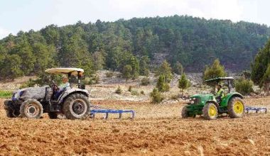 Erdemli Belediyesinden ücretsiz tohum ve tarlayı işleme desteği