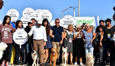 PATİFEST HERKESİ MEMNUN ETTİ