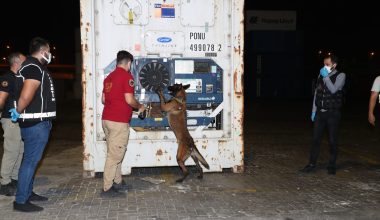 MUZ YÜKLÜ KONTEYNERDA 48 KİLO KOKAİN ELE GEÇİRİLDİ