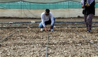Akdeniz Belediyesi, Üreticileri Maralfalfa İle Tanıştırdı