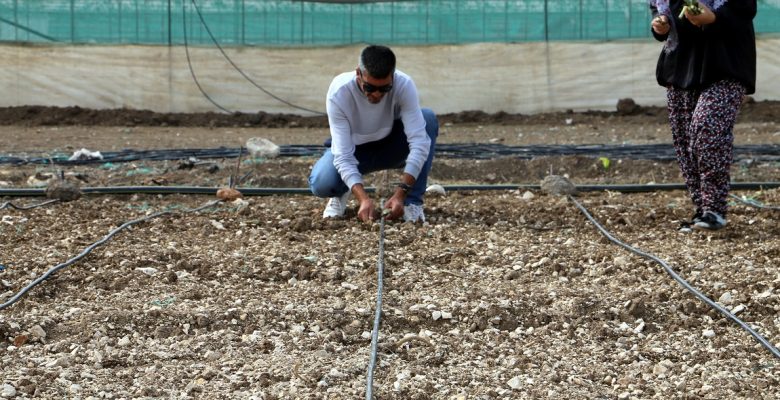 Akdeniz Belediyesi, Üreticileri Maralfalfa İle Tanıştırdı