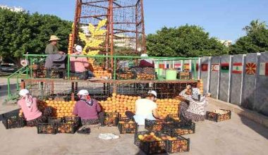 Mersin Narenciye Festivalinde geri sayım