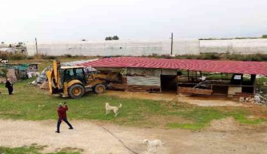Hazine arazisine kaçak yapılan yerler yıkıldı