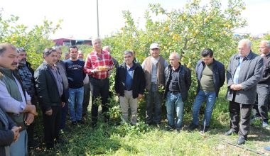 Başkan Tarhan, limon üreticisinin feryadını gündeme taşıdı
