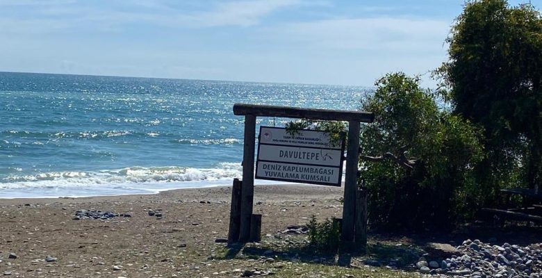 MERSİN BAROSU, 100.YIL TABİAT PARKI’NDAKİ DOĞA KATLİAMINI YARGIYA TAŞIDI