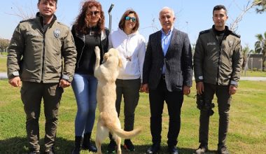 Akdeniz Belediyesi’nden ‘Can Dostlar’ İçin Özel Etkinlik