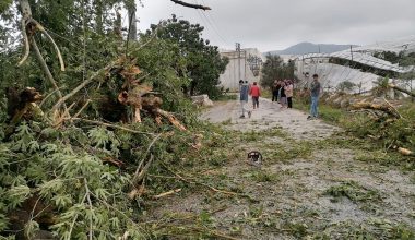 ANAMUR’DA AĞAÇLAR DEVRİLDİ, SERALAR UÇTU