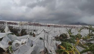 HORTUM, ANAMUR’U VURDU, 13 KİŞİ YARALANDI