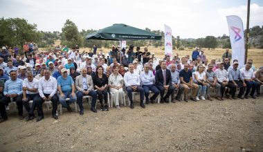 ATALIK SARI BUĞDAY HASAT TÖRENİ YAPILDI