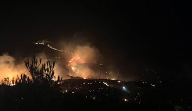 Gülnar’da orman yangını