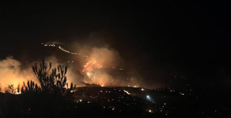 Gülnar’da orman yangını