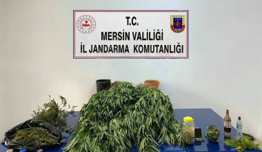 JANDARMADAN UYUŞTURUCU OPERASYONU