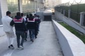 Jandarma, aranan 56 şahsı yakaladı