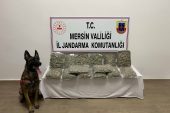 Jandarma, 14.200 gr. skunk maddesi ele geçirdi