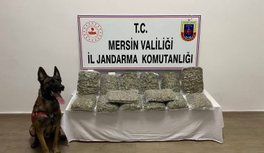 Jandarma, 14.200 gr. skunk maddesi ele geçirdi