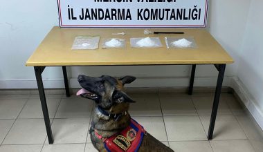 Jandarma tarafından 1014 gr. metamfetamin ele geçirildi