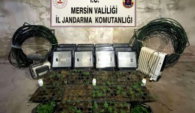 JANDARMADAN UYUŞTURUCU MADDE OPERASYONU