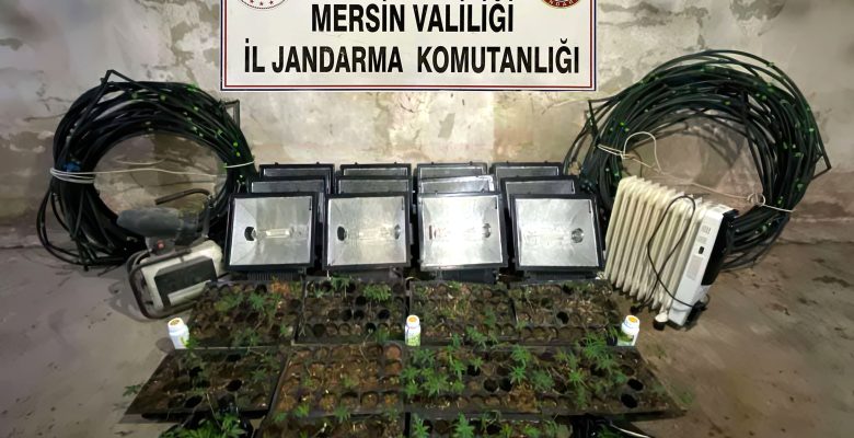 JANDARMADAN UYUŞTURUCU MADDE OPERASYONU