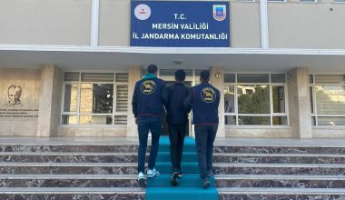 Jandarma, Aranan 530 Şahsı Yakaladı