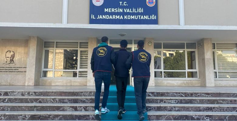 Jandarma, Aranan 530 Şahsı Yakaladı