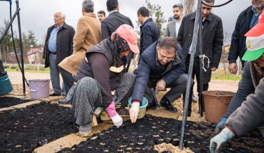 Serdar Soydan: “Mersin’in Sorunlarını Çözmek İçin Hangi Kapıları Çaldınız”