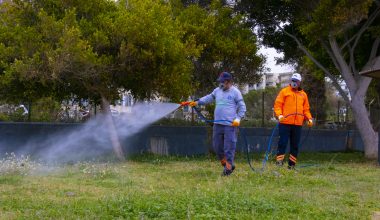 MERSİN YAZA HAZIRLANIYOR