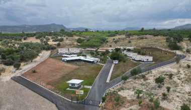 Başkan Özyiğit:”Kısırlaştırma ve sahiplendirme konusuna ağırlık verilmesi gerekiyor”