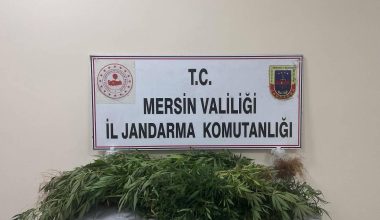 JANDARMADAN UYUŞTURUCU MADDE OPERASYONU