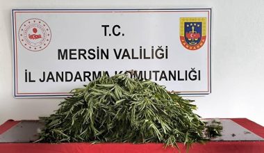 Uyuşturucu operasyonu: 6 şüpheli yakalandı