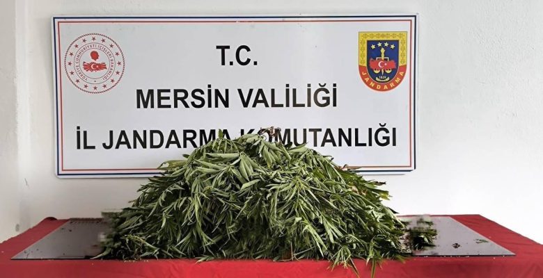 Uyuşturucu operasyonu: 6 şüpheli yakalandı