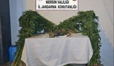 JANDARMADAN UYUŞTURUCU MADDE OPERASYONU