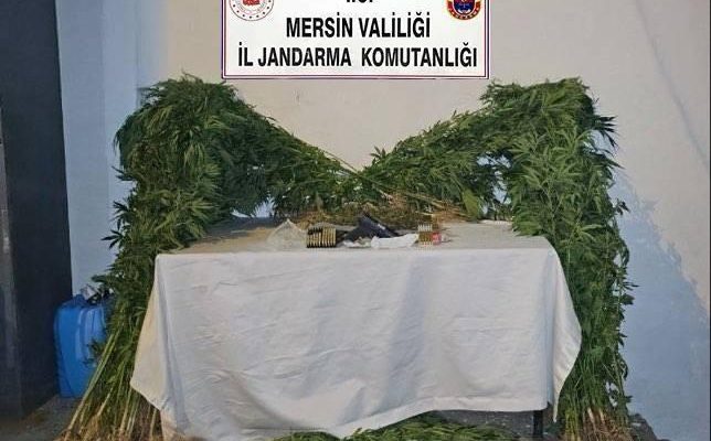 JANDARMADAN UYUŞTURUCU MADDE OPERASYONU