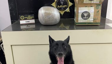 UYUŞTURUCU TACİRLERİNE MERSİN POLİSİNDEN OPERASYON