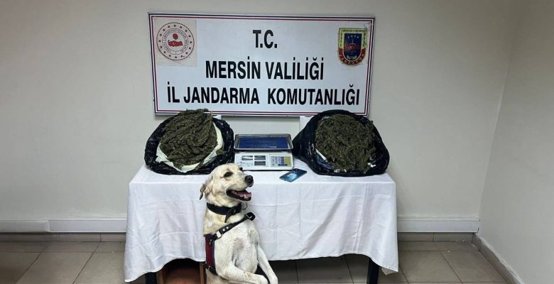 Uyuşturucu madde ticareti yapan 3 kişi yakalandı