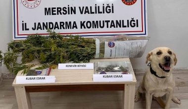 JANDARMADAN UYUŞTURUCU MADDE OPERASYONU: 7 GÖZALTI