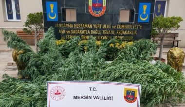 UYUŞTURUCU MADDE OPERASYONU, 3 GÖZALTI