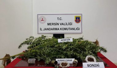 JANDARMADAN UYUŞTURUCU OPERASYONU: 1 TUTUKLU