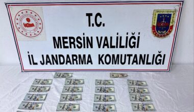 Piyasaya sahte dolar süren şahıs yakalandı