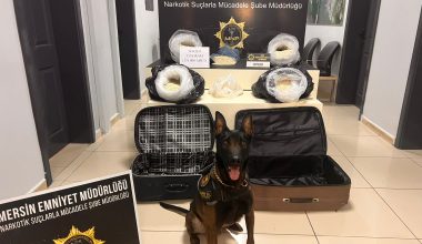 58 KİLO 310 GRAM CAPTAGON ELE GEÇİRİLDİ