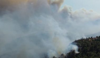 Silifke’de orman yangını